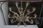 Старинные бронзовые люстры (пара) код. BE4097480 фото 7